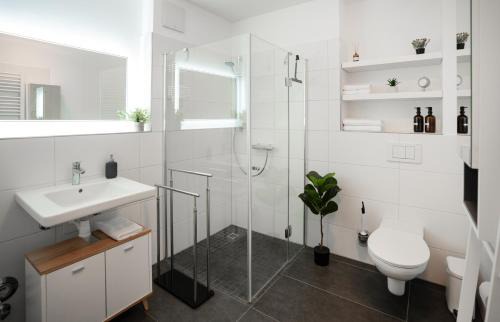 Bad Hersfeld Apartment | REITZ - Apartment I Zentrale Lage I Stellplatz I 55qm I 2 Zimmer I Küche I Bad I Terrasse
