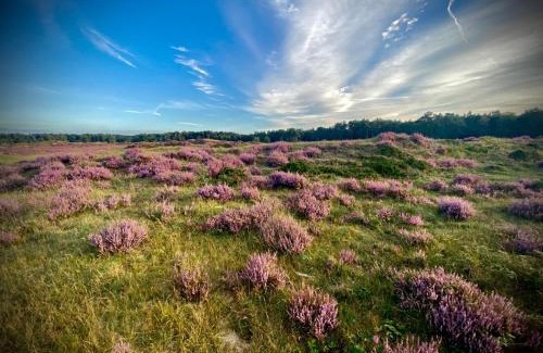 Elspeet Villa | Relais & Chateaux De Struyckenbergen - villa met wellness
