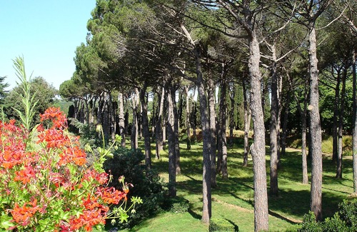 Ronciglione Villa | RELAIS VILLA LINA LANDMARK ORGANIC SUMMER TUSCIA ROME 18th c. YOUR HOUSE & COTT