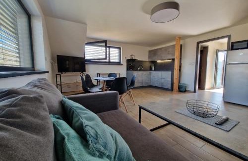 Cerna V Posumavi Apartment | Relax Vila Lipno- apartmán v podkroví u pláže Windy Point