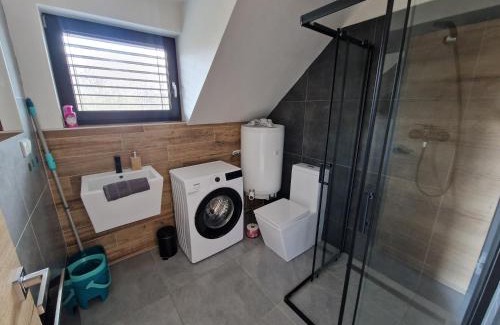 Cerna V Posumavi Apartment | Relax Vila Lipno- apartmán v podkroví u pláže Windy Point