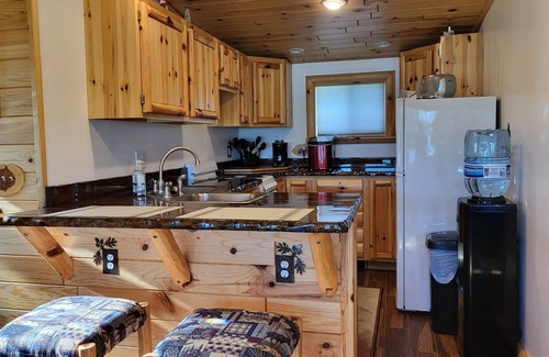 Sheridan Cottage | Remodeled Cottage w/Gfireplace, super close to Fred Meijer Heartland trail