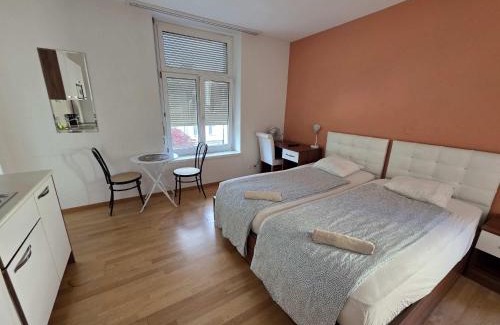 Enge Apartment | Renovated Apartment Near Zurich Lake Sees Self Checkin
