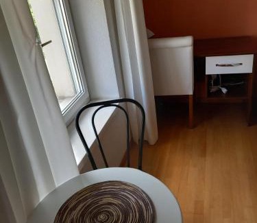 Enge Apartment | Renovated Apartment Near Zurich Lake Sees Self Checkin