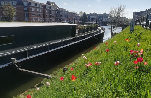 Rooigem Boat Rental | Renovated Houseboat in the Center of Ghent (Sailor Room)