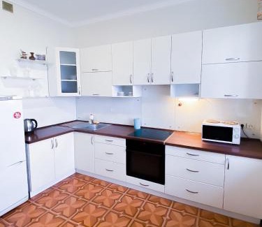 Dniprovs'kyi District Apartment | Rent Kiev Apartment 2 min metro Chernihivska
