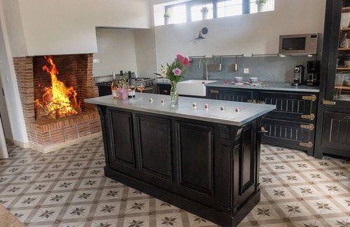 Vauvert House | RENTAL OF A MAS WITH POOL IN A VINEYARD IN FIELD CAMARGUE