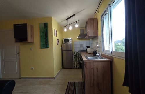 La Plaine-des-Palmistes Villa | Rental Furnished quiet with stunning views of the mountain.