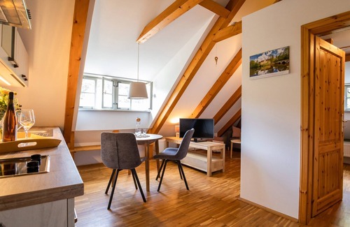 Oberloßnitz Apartment | Rental-Standard-Private Bathroom-Vineyard view-Nr. 3