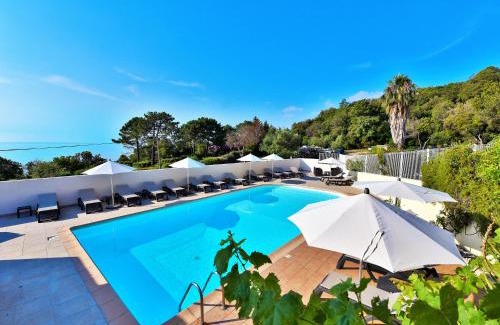 Sari-Solenzara Apartment | Residence Canella