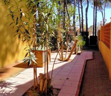 Giannella House | Residence Giannella - Ginestra 17