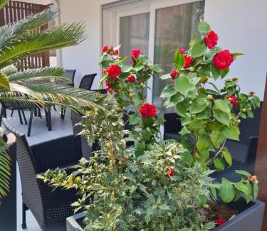 Arco Apartment | Residence Klima House de Vilos