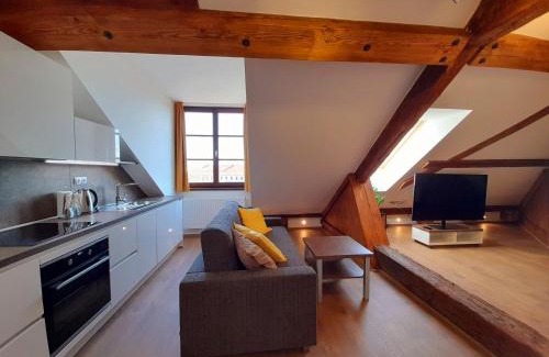 Ceske Budejovice Hotel | Residence Mariánská