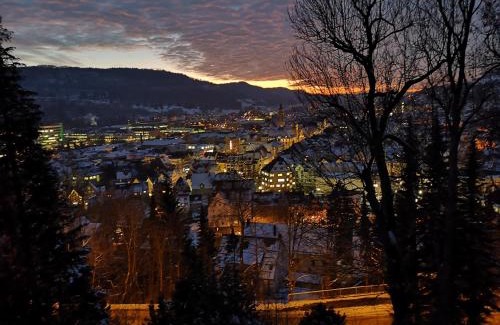 Albstadt Apartment | Residenz am Schloßberg
