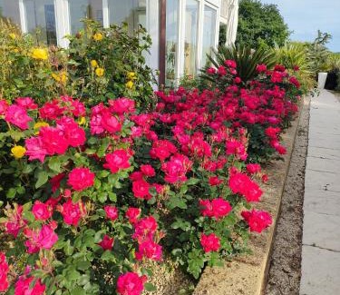 Cossignano Bed & Breakfast | Residenza delle Grazie
