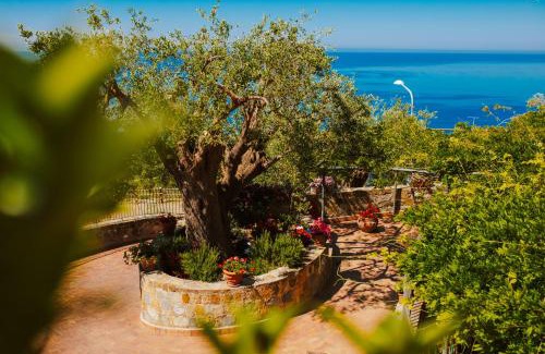 Caprioli Apartment | Residenza Golfo Degli Ulivi