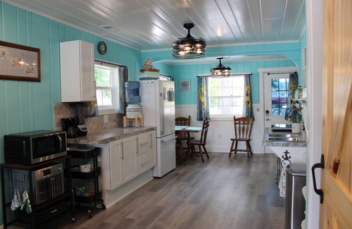 Greenville Cottage | Respite House: Barrier-Free Lakefront home with full Wheelchair accessibility.