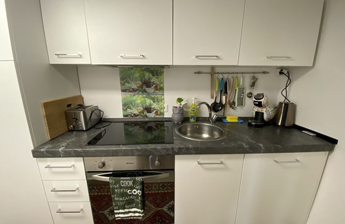 Alto Malcantone Cottage | Retreat in nature:relax, walks, MT trails from the house, fireplace, WIFI