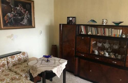 Bolehost House | Retro