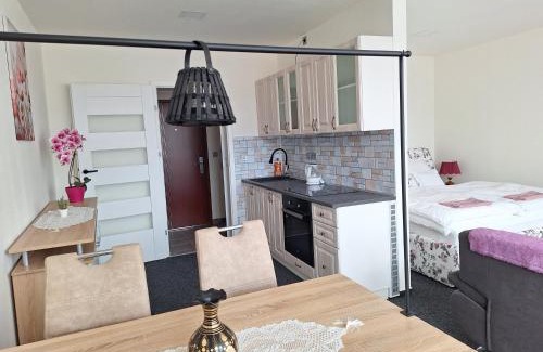 Tanvald Apartment | Rezidence BARA
