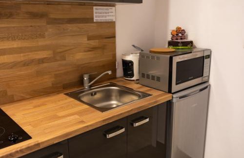 Michle Apartment | Rezidence Hadovitá