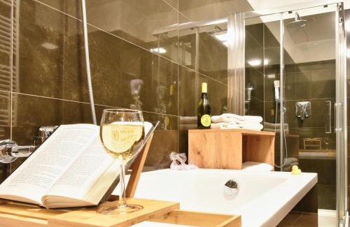 Karlovy Vary Apartment | Rezidence Moser Family Apartments