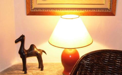 Sale Medina House | Riad A La Belle Etoile