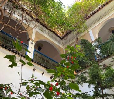 Taroudannt House | Riad Maryam Taroudant