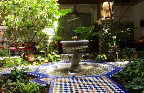 Ain Azlitan House | Riad Toyour- Riad of birds