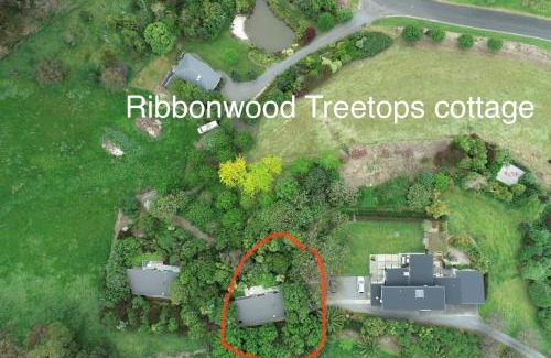 Havelock North House | Ribbonwood Treetops cottage