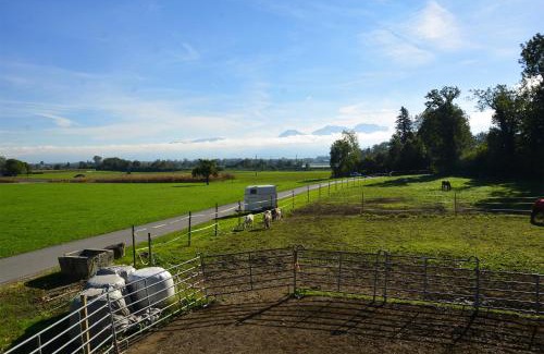 Altstaetten Bed & Breakfast | Ribelhof