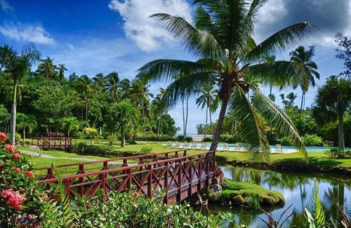 Las Terrenas Apartment | RIBERAMAR Las Terrenas, Samana