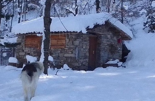 Terranova di Pollino House | Rifugio Aquilaverde