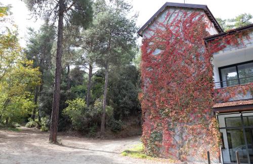 Vasa Koilaniou Hotel | Rifugio Retreat Bed&Breakfast