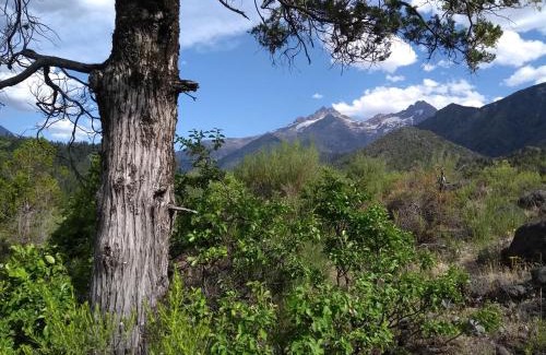 Antuco Cabin | Rincon del Montañes