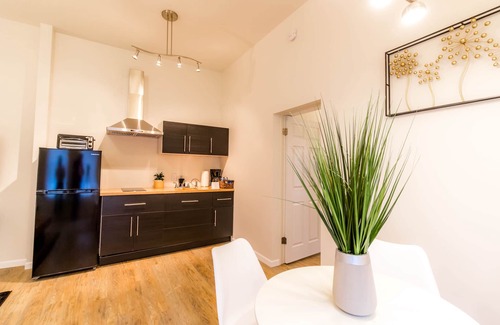 Kutzky Park Apartment | RitaBNB-Charming 1bedroom+1bathroom apartment, steps away from Mayo Clinic