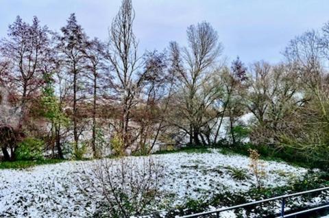 Hainburg Apartment | RIVER VIEW NEAR FRANKFURT - 3 ROOMS-4 BEDS & 1 SOFA BED -AIR CONDITION- Private PARKING