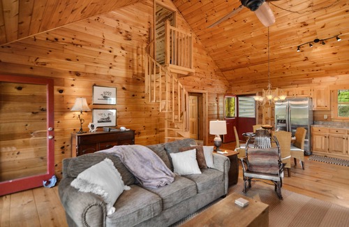 Blue Ridge Cabin | Riverfront, Hdtv, Flat Lot, Grassy Yard!