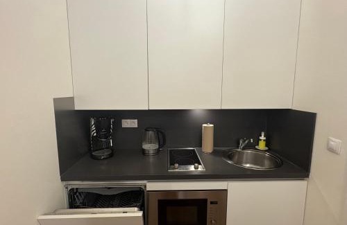 Vysehrad Apartment | Riverside apartment