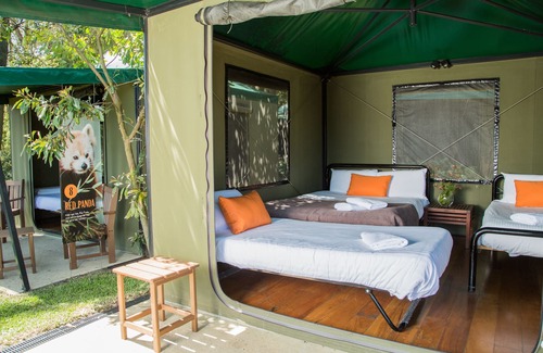 Mosman Cabin | Roar and Snore at Taronga Zoo Sydney