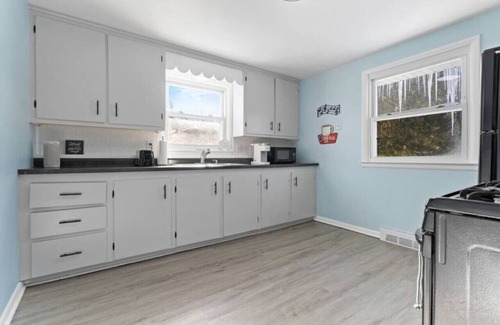 Port Sanilac House | Rock n Roll! DT 2bd home! Walk to beach, bars&more