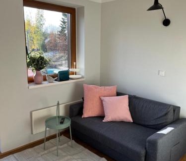 Jablonec nad Jizerou Apartment | Rodinný apartmán Bratrouchov
