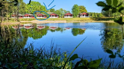 Dalskog House | Rolig häst, Kaneeling Stugby AB