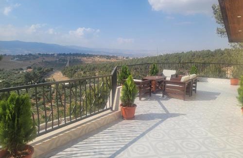 Suwailih Villa | Romana