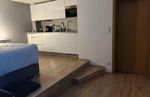 Nusle Apartment | Romantic apartment by the city center