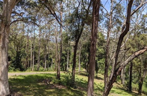 Bandon Grove Ski Chalet | Romantic Cabin Escapes Barrington Tops - Lorikeet
