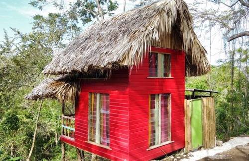 Orange Bay Cabin | Romantic Cottages in Jamaican Hills w/hiking trails and Fruit trees on property
