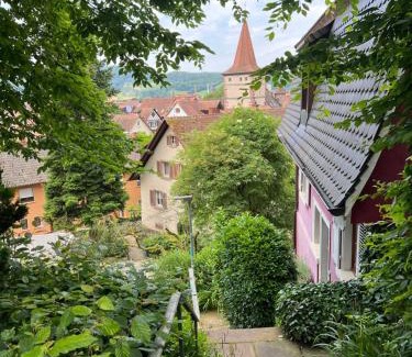 Gengenbach Apartment | Romantic Gem at Black Forest - Cozy Historic Apartment - 30min to EuropaPark