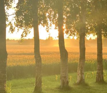 Idestrup Other | Romantik Luxus Glamping 2