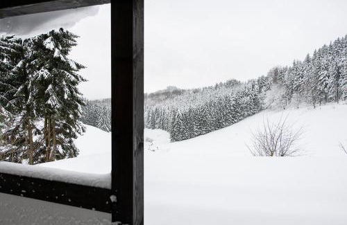 Neuastenberg House | Romantikhütte Neuastenberg